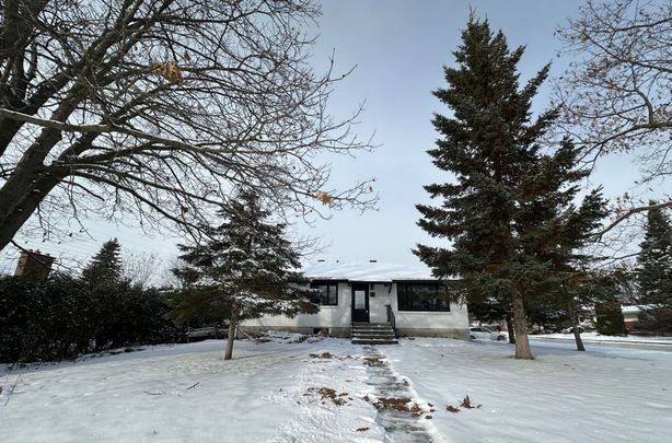 For Lease - 41 FIELDROW Street, Meadowlands - Crestview and Area, Ontario - Photo 1