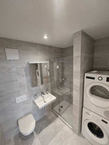 Bright 3.5-room new-build apartment at Escher Wyss Platz - Foto 4