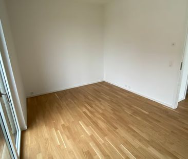 2 Zimmer, 52 m² - Foto 5