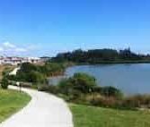 BEAUTIFUL KARAKA HARBOURSIDE - GAS, Internet and Water Included - Photo 5