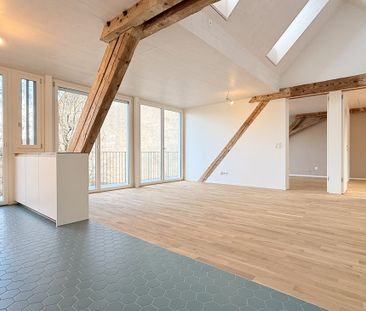 Neue Dachwohnung im Herzen von Basel – Wohnen mit Stil im St. Johann - Foto 4