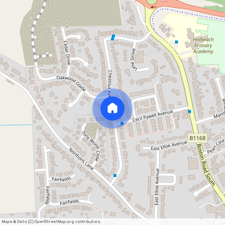 Chestnut Avenue, Holbeach, Spalding