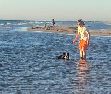 Toorak Gardens - Photo 4