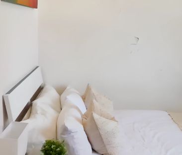 70 New Canterbury Petersham, Sydney - Photo 3