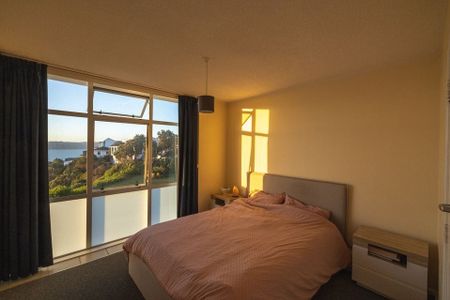Cosy apartment with amazing views in Maupuia - Photo 3