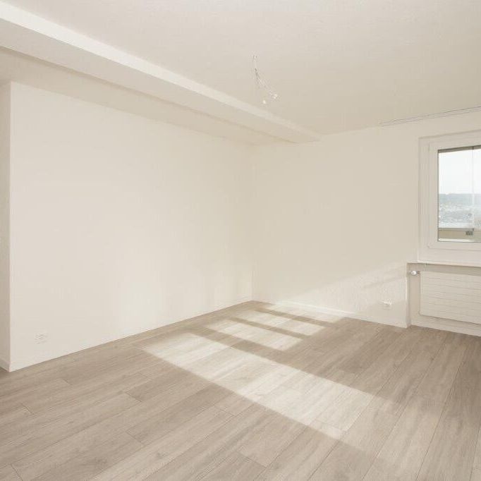 Your new home with a breathtaking view of the lake - Photo 1