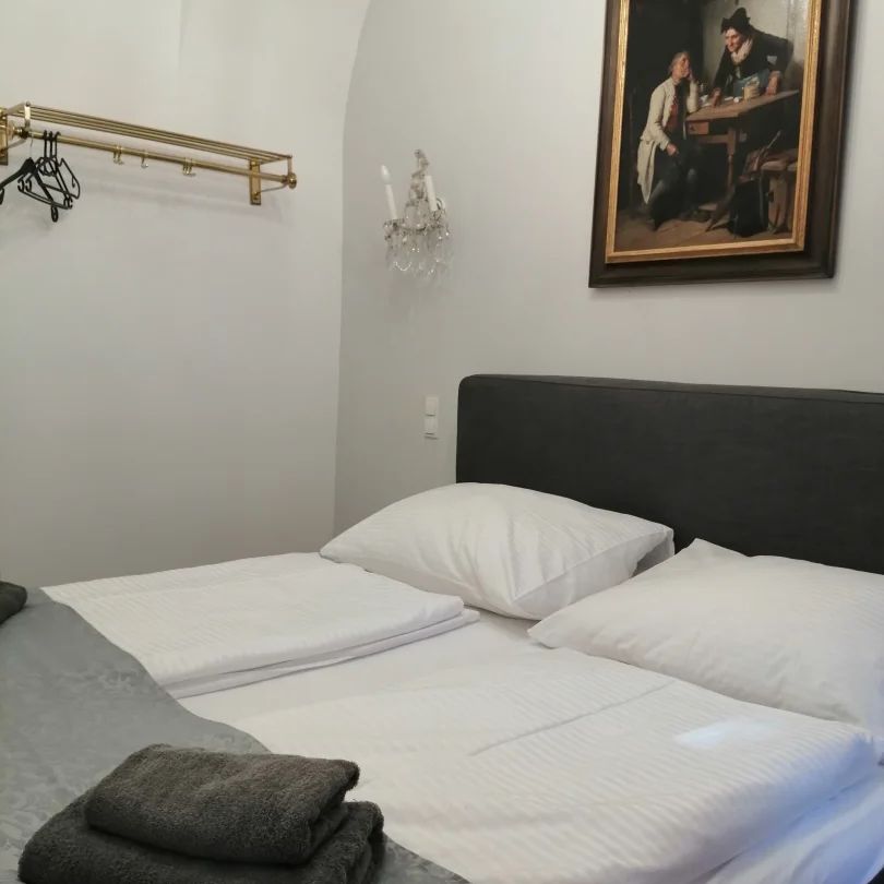 möblierte Wohnung im Herzen von Wien - Foto 1