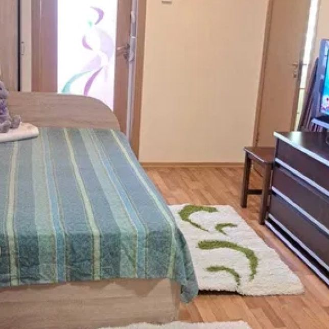 2 camere, decomandat, 40 mp, de inchiriat apartament in zona Nicolina, Pasaj, Cod 161573 - Fotografie 1