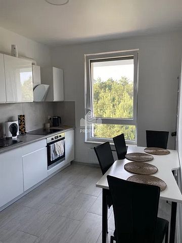 Widok na las, duży balkon, winda - Zdjęcie 2