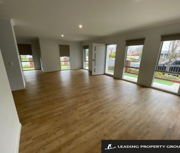 17 Swan Street, WODONGA VIC 3690 - Photo 5