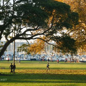 Fully Furnished Art-Deco Apartment in Prime Darling Point Setting - Photo 3
