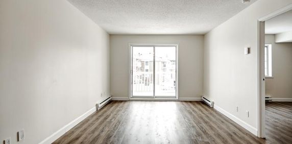 Appartement 3 ½ à louer Sainte-Foy / Sillery février 2026 - Photo 2