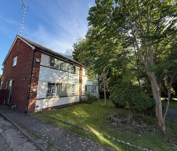 Lichen Green, CV4, Property for rent - Photo 3