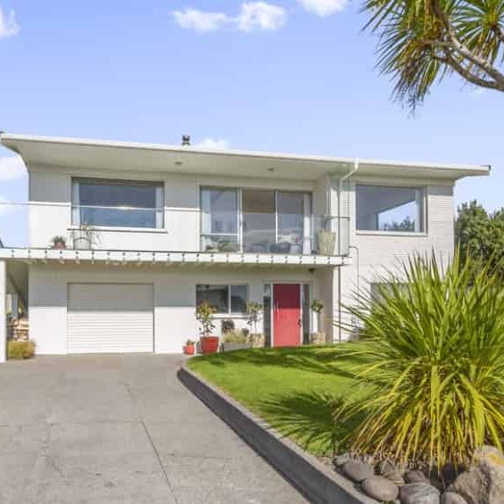 Large / Extended Family Opportunity - Photo 1