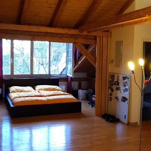 Charmante 1-Zimmerwohnung in Stadtnähe - Photo 3