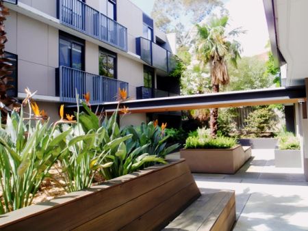 Studio Regular - Photo 5