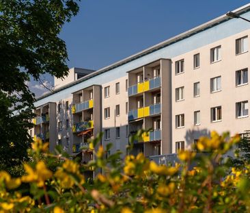 Gemütliche 2-Zimmer-Wohnung im Dachgeschoss - Foto 4