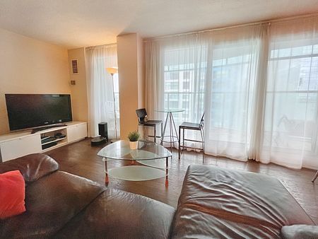 Large 700 sq. ft. Executive Furnished Condo with Bell 1.5 TB Internet - Photo 3