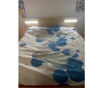 3½ Zimmer-Wohnung in Affoltern am Albis (ZH), möbliert, auf Zeit - Photo 4