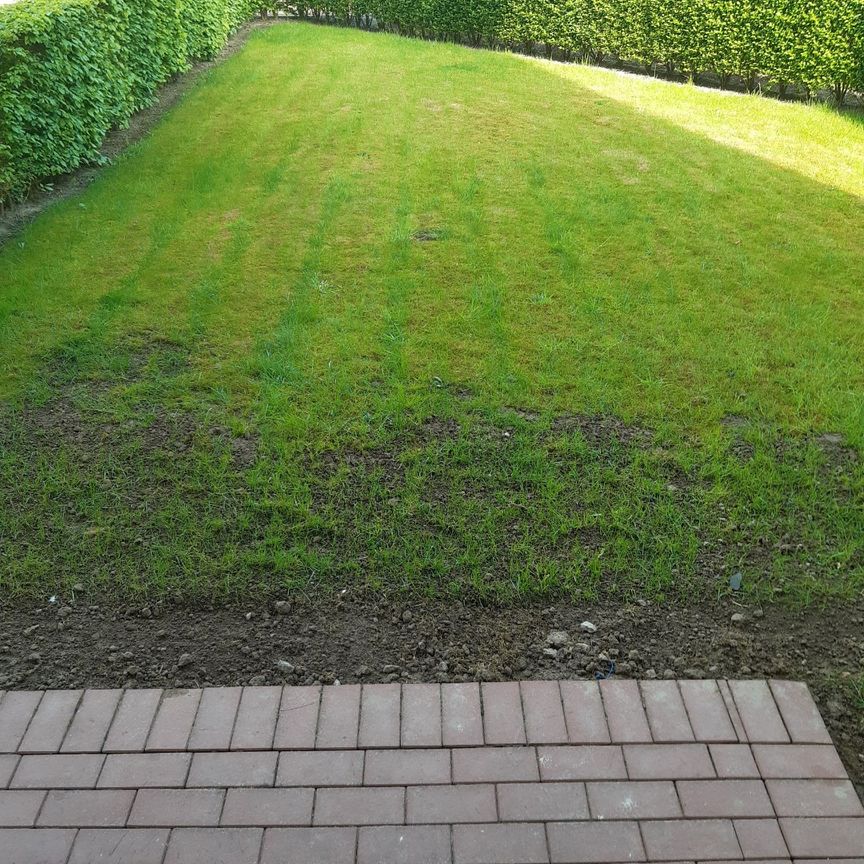 Gelijkvloers appartement te huur in Oudenaarde - Foto 1