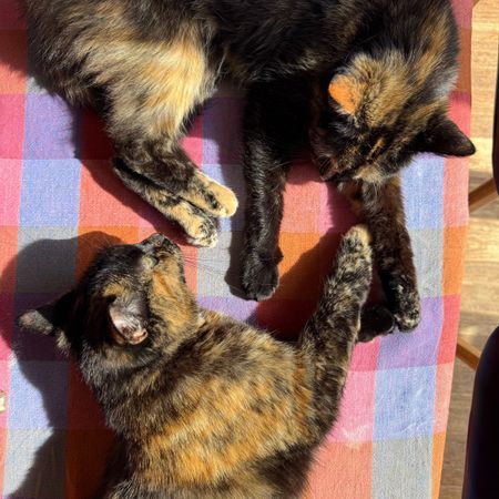 North Bondi - Photo 3