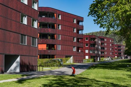 3.5 Zimmer, 92 m², 1. Stock - Photo 5
