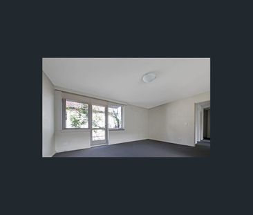 Prime Windsor Living Steps from Chapel Street - Photo 2