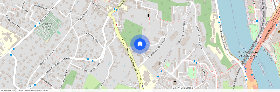 69110, Sainte-Foy-Lès-Lyon