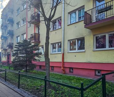 Przytulne 2-pokojowe mieszkanie na parterze - Photo 5