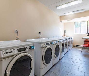 Albert Terrace Apartments - ALL INCLUSIVE - Photo 2
