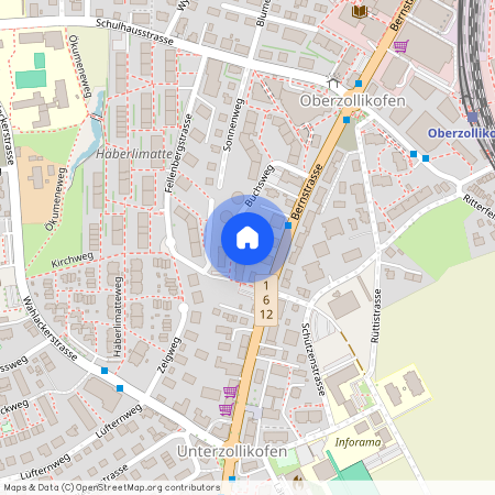 Buchsweg 11, 3052 Zollikofen