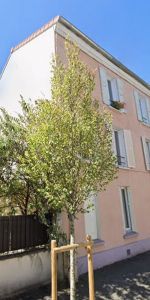 Appartement à louer 2 pièces • 37,38 m2 Le Perreux-sur-Marne - Photo 4