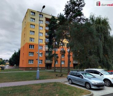 Pronájem bytu 1+1 41 m2 - Fotografie 3