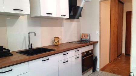 Location Appartement 1 pièce Meublé 35m² ALBERTVILLE 73200 - Photo 5