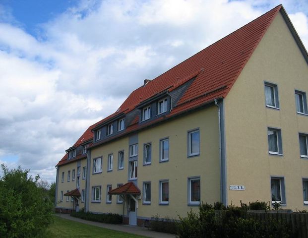 3-Zimmer-Wohnung in Salzgitter-Ringelheim - Photo 1
