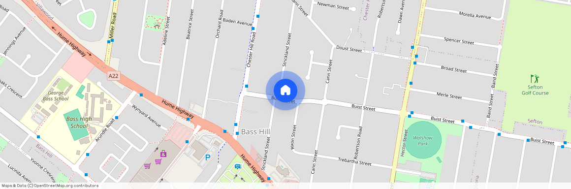 114C Buist Street, Bass Hill 2197, New South Wales