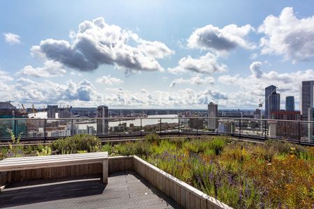 Roosevelt Tower, Williamsburg Plaza, E14 9RL - Photo 4