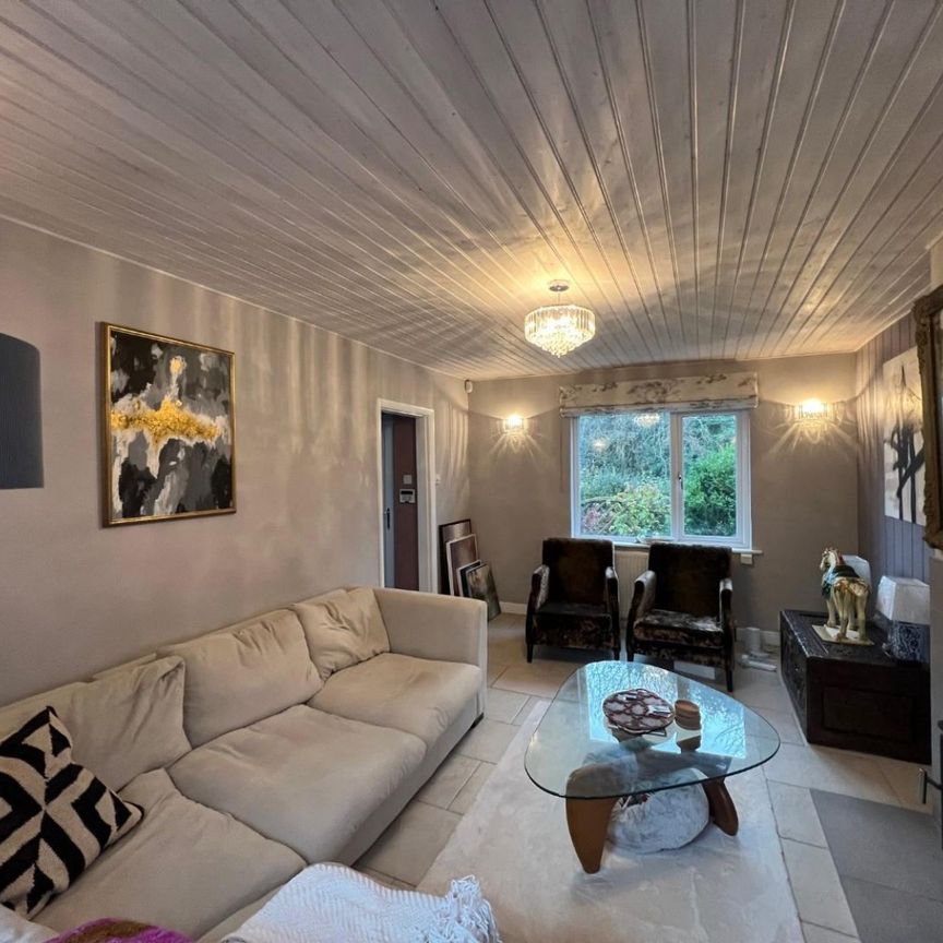 3 bedroom House To Let - Photo 1