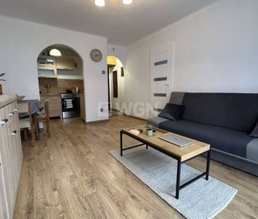 Mieszkanie na wynajem w bloku Mielec - Zdjęcie 4