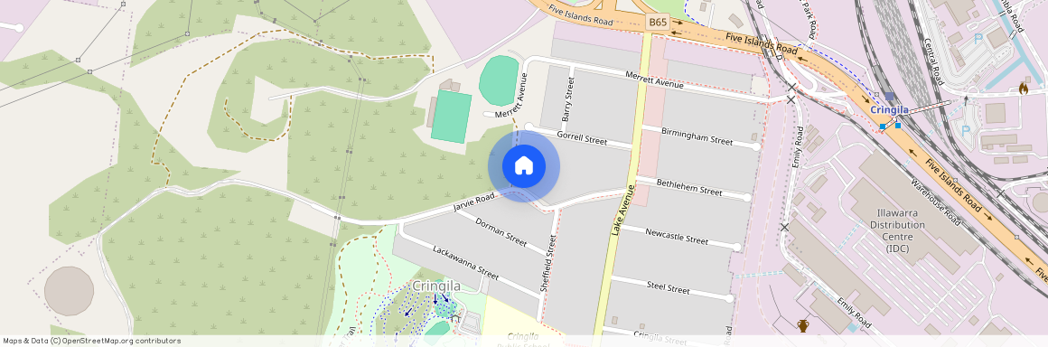 30 Jarvie Road, NSW 2502, Cringila