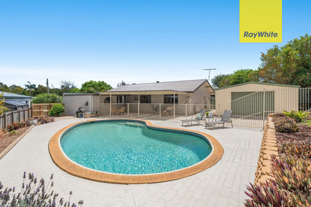 Modern Living with Pool & Huge Shed in Prime Wellington Point Location - Photo 3