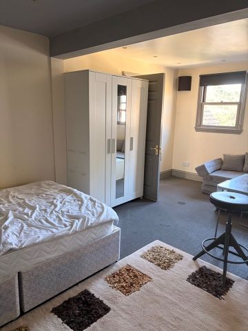 Studio Flat, Madeley Road, W5 - Photo 3