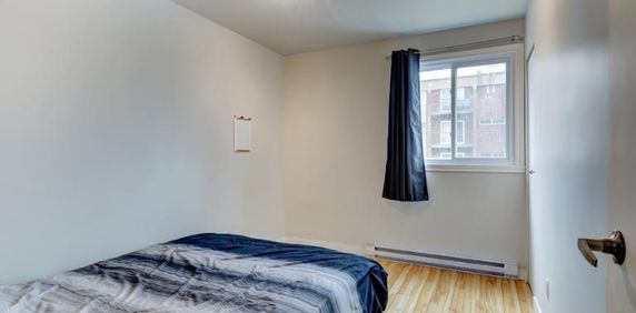 Appartement 4 ½ à louer Lévis novembre 2025 - Photo 2