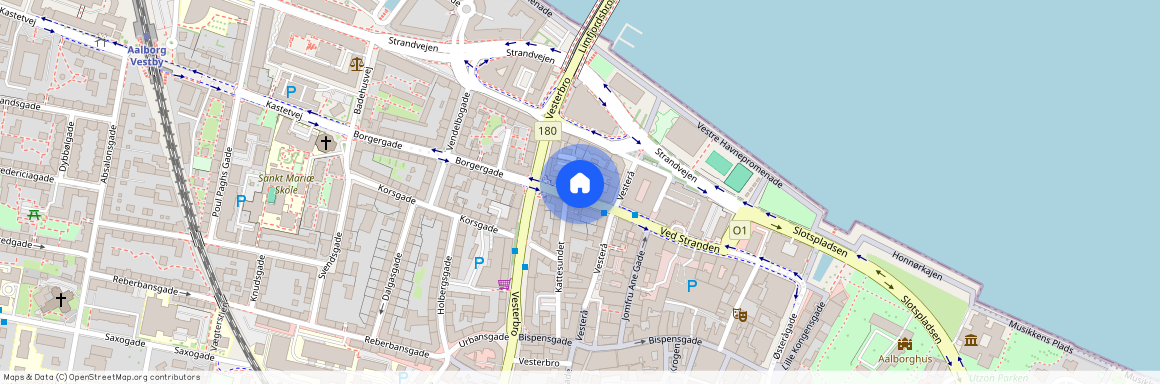 Borgergade 6, 1. tv., 9000 Aalborg