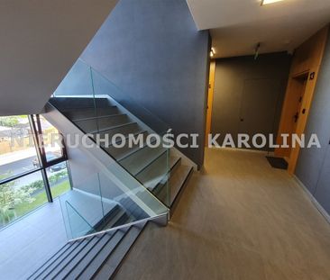 Zielona Dolina, Piła - Photo 6
