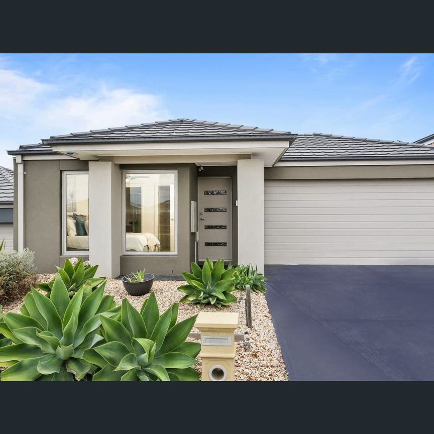 Modern 4 Bedroom Home! - Photo 1