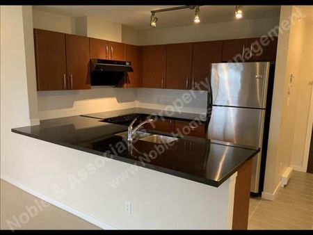 7XXX Macpherson Avenue 408 Burnaby - Photo 3