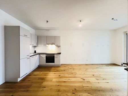 Q11 -Traisen-Promenade. Stadt, Sport und Kultur aufs Feinste miteinander verbinden - Foto 5