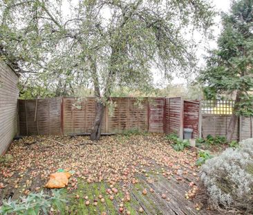 4 bedroom property to rent - Photo 5