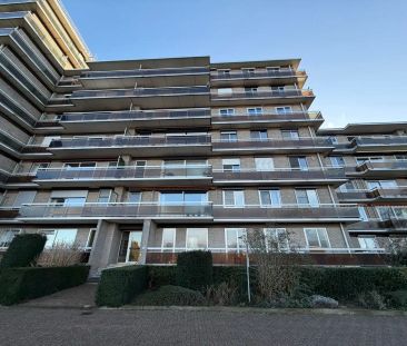 Pas gerenoveerde studio met aparte slaaphoek en ruim terras - Foto 5